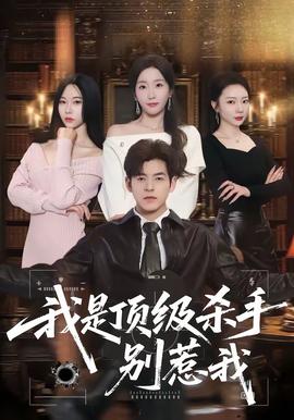 我是顶级杀手,别惹我——罚罪在线电视剧免费观看