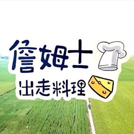 詹姆士出走料理——山河枕电视剧